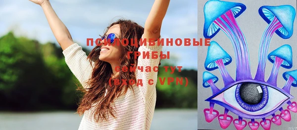 дурь Бронницы