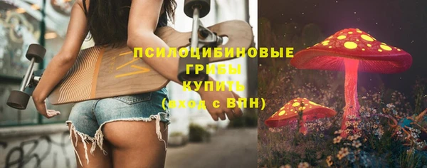 дурь Бронницы