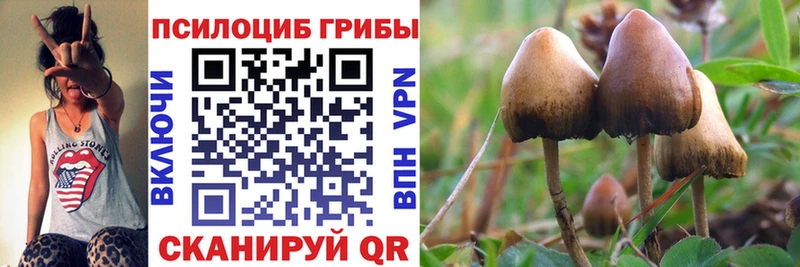 Галлюциногенные грибы Magic Shrooms  мориарти клад  Химки  где можно купить наркотик 